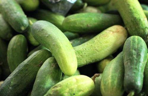 每天坚持吃瓜好吗,养成健康生活新习惯