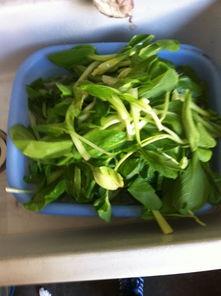 吊瓜面粉怎么吃