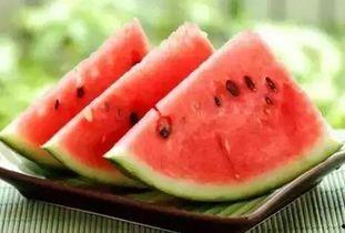 瓜友们吃瓜图片